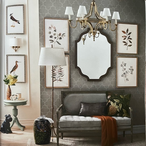 Antique Ornithological Bird Print Original 1913 - Picture 13 of 14